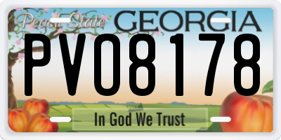 GA license plate PVO8178