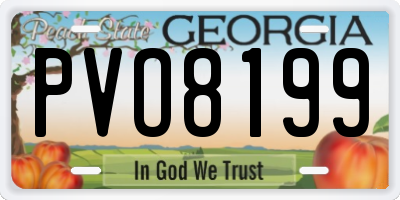 GA license plate PVO8199