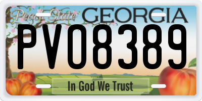 GA license plate PVO8389