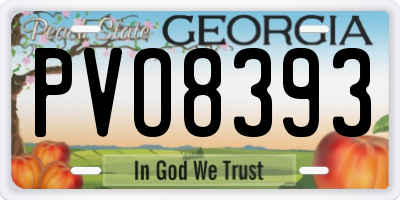 GA license plate PVO8393