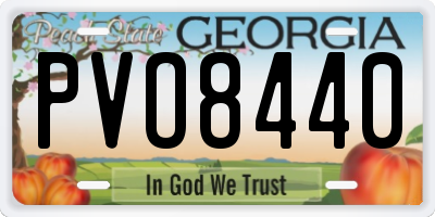 GA license plate PVO8440