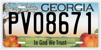 GA license plate PVO8671