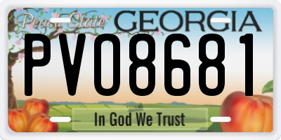 GA license plate PVO8681