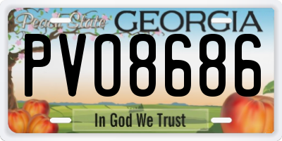 GA license plate PVO8686
