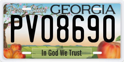 GA license plate PVO8690