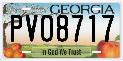 GA license plate PVO8717