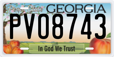 GA license plate PVO8743