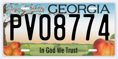 GA license plate PVO8774