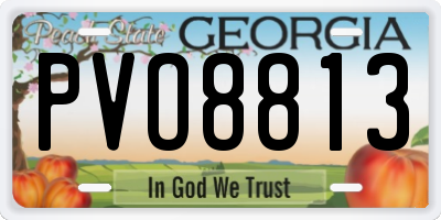 GA license plate PVO8813