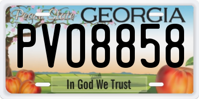 GA license plate PVO8858