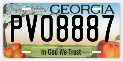 GA license plate PVO8887
