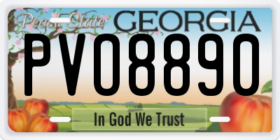 GA license plate PVO8890