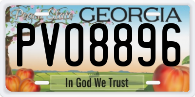GA license plate PVO8896