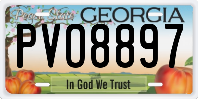 GA license plate PVO8897