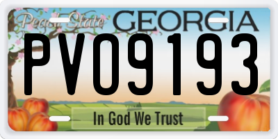 GA license plate PVO9193