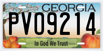 GA license plate PVO9214