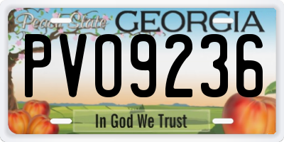 GA license plate PVO9236
