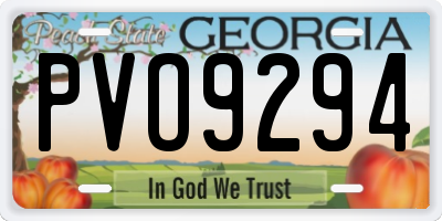 GA license plate PVO9294