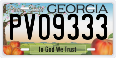 GA license plate PVO9333