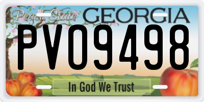 GA license plate PVO9498
