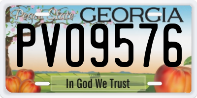 GA license plate PVO9576