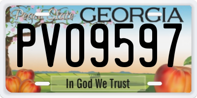 GA license plate PVO9597