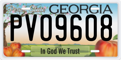 GA license plate PVO9608
