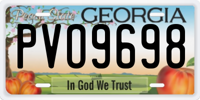 GA license plate PVO9698