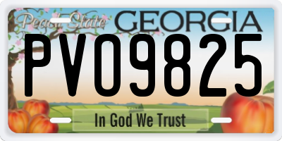GA license plate PVO9825