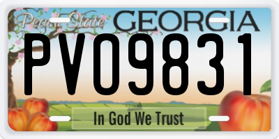 GA license plate PVO9831
