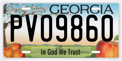 GA license plate PVO9860