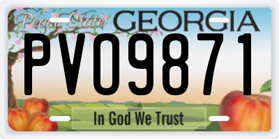 GA license plate PVO9871