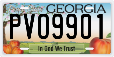GA license plate PVO9901