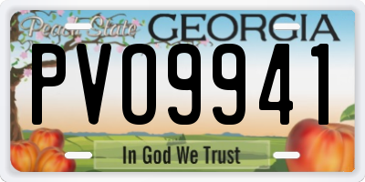 GA license plate PVO9941