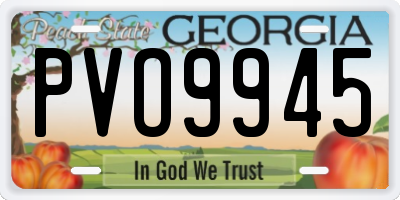 GA license plate PVO9945
