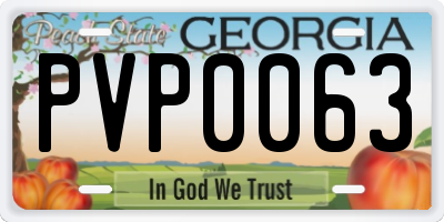 GA license plate PVP0063