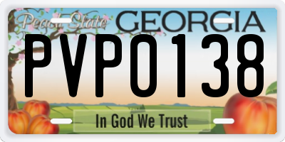 GA license plate PVP0138
