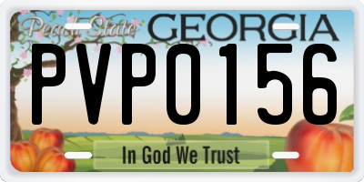 GA license plate PVP0156
