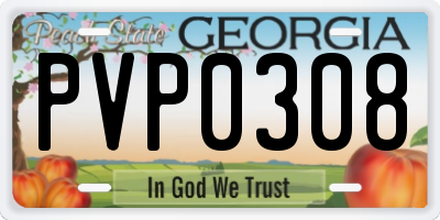 GA license plate PVP0308