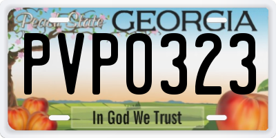 GA license plate PVP0323