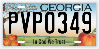 GA license plate PVP0349