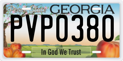 GA license plate PVP0380