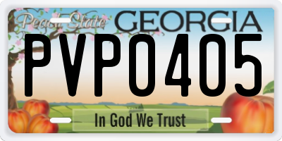 GA license plate PVP0405