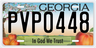 GA license plate PVP0448