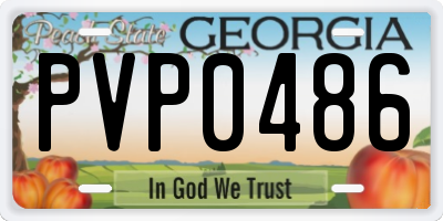 GA license plate PVP0486