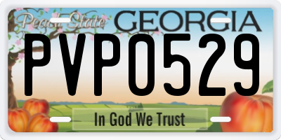 GA license plate PVP0529