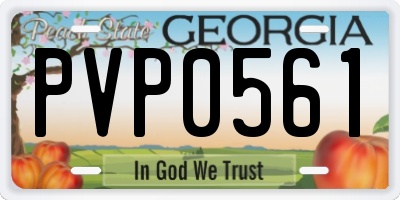 GA license plate PVP0561
