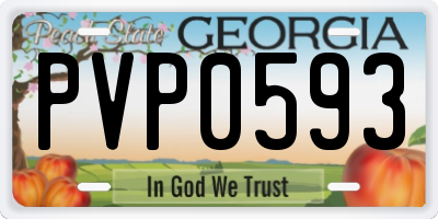 GA license plate PVP0593