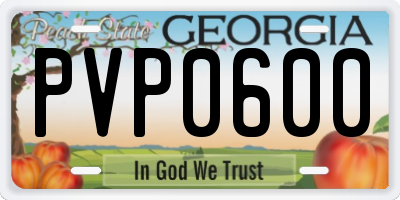 GA license plate PVP0600