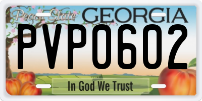 GA license plate PVP0602